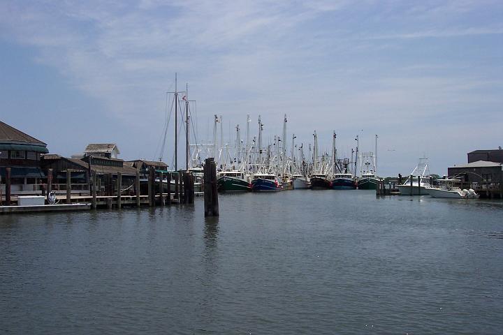 C_M 054.jpg